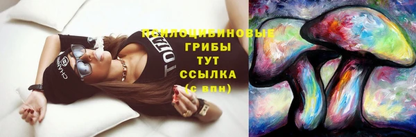 spice Арсеньев