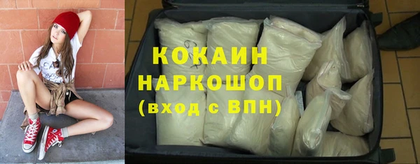 ГАЛЛЮЦИНОГЕННЫЕ ГРИБЫ Аркадак