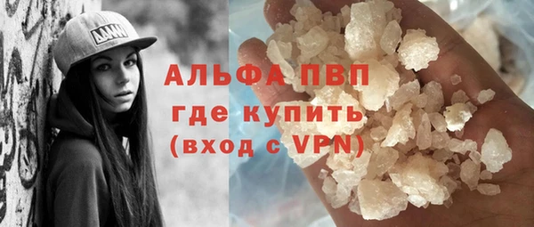 мдпв Инсар