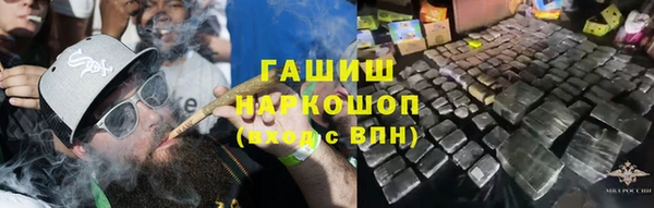 ГАЛЛЮЦИНОГЕННЫЕ ГРИБЫ Аркадак