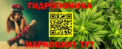 гашик Ливны