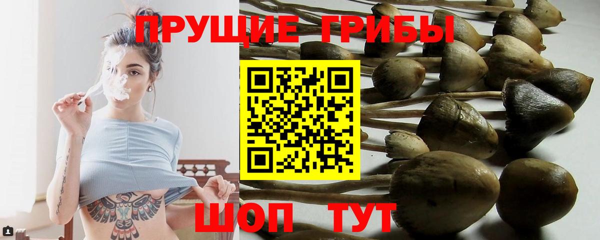 Галлюциногенные грибы ЛСД Гуково