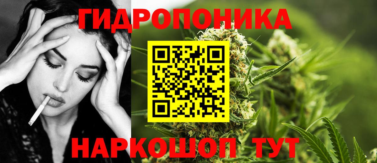 Гуково  Каннабис индика  Шишки марихуана Amnesia  Конопля индика  Марихуана план  Вход с VPN 